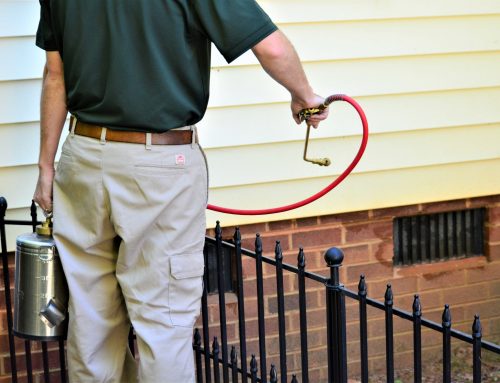 Quarterly Pest Control vs. One-Time Treatment in NC
