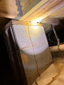 Termite Tube in crawlspace on pillar of home foundation - Photo Courtesy of Advance Pest Control 