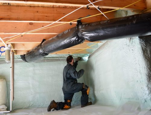 Crawlspace Encapsulation, Termites & Moisture in Raleigh NC